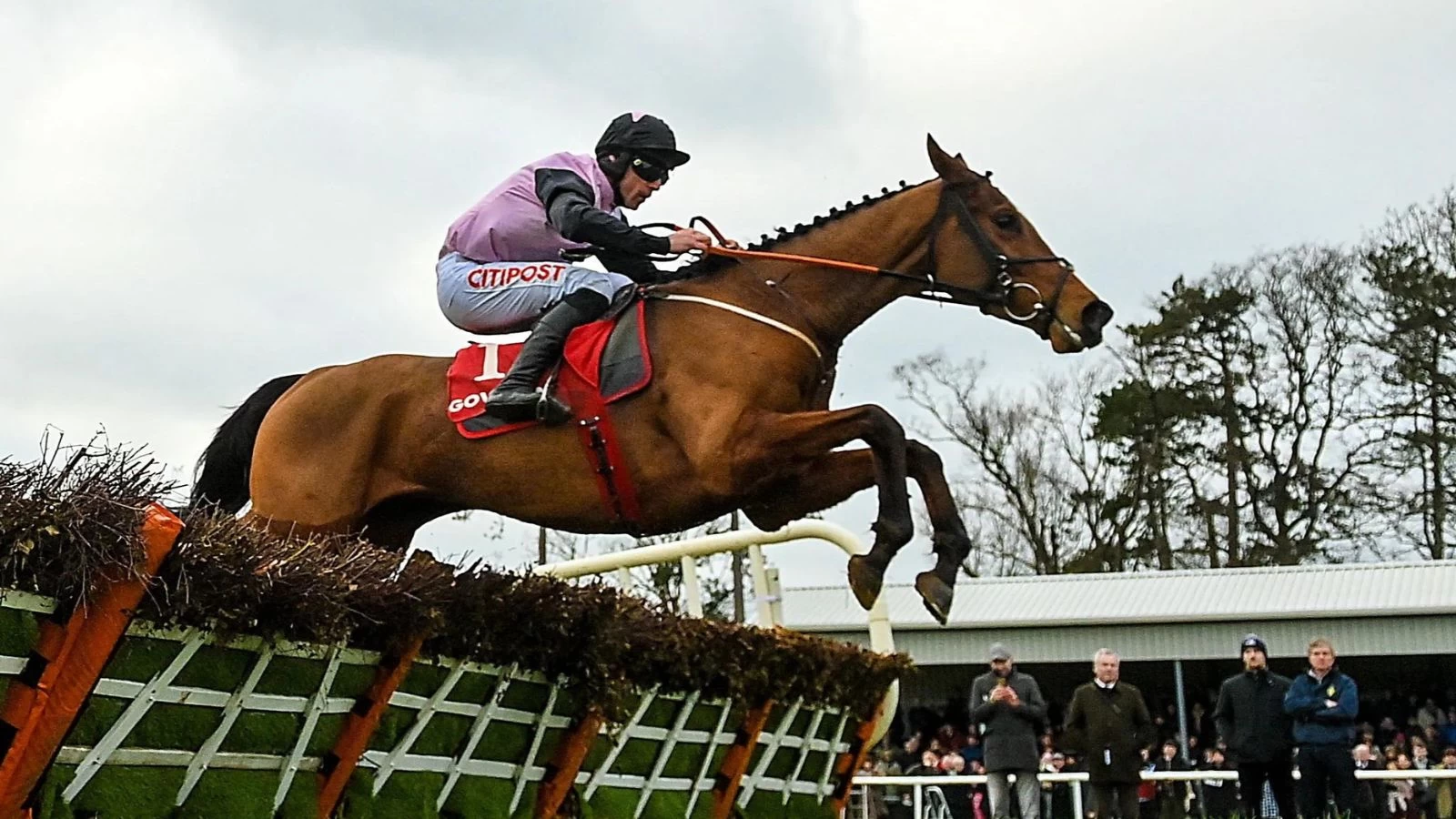 Cheltenham, Cheltenham Festival, Teaphoo